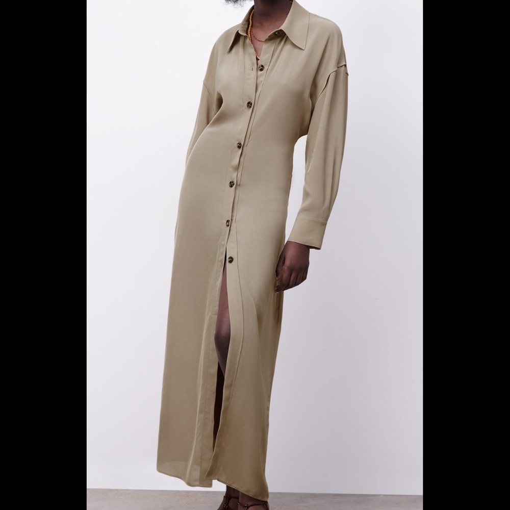 NWT Zara Dress